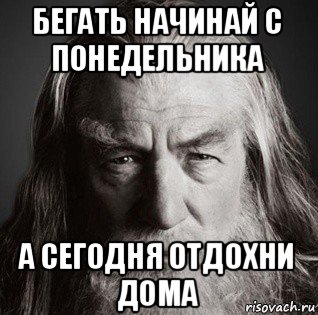 бегать начинай с понедельника а сегодня отдохни дома, Мем  Гендальф-мудрец