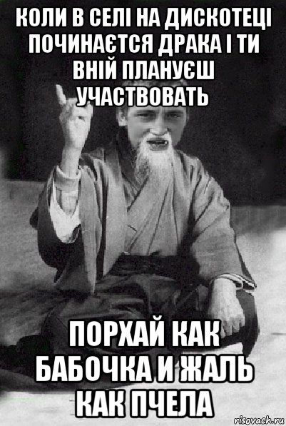 коли в селі на дискотеці починаєтся драка і ти вній плануєш участвовать порхай как бабочка и жаль как пчела, Мем Мудрий паца