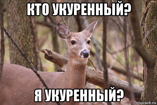 кто укуренный? я укуренный?