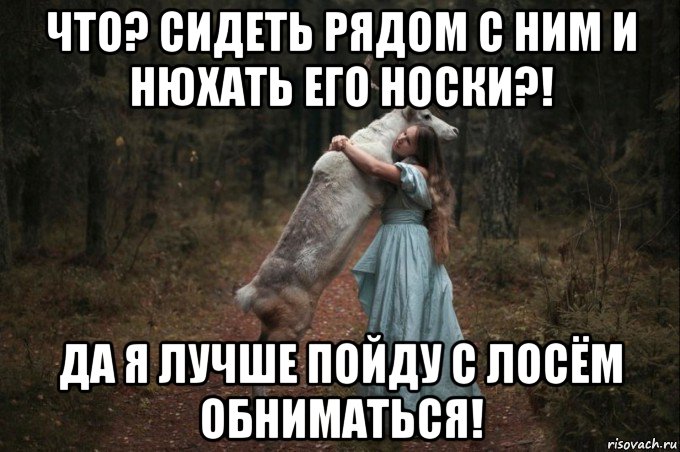 что? сидеть рядом с ним и нюхать его носки?! да я лучше пойду с лосём обниматься!, Мем Наивный Олень шаблон 5