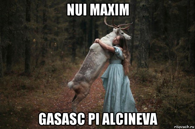 nui maxim gasasc pi alcineva, Мем Наивный Олень шаблон 5