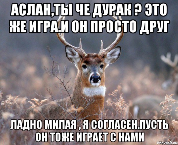 аслан,ты че дурак ? это же игра.и он просто друг ладно милая , я согласен.пусть он тоже играет с нами, Мем   Наивный олень