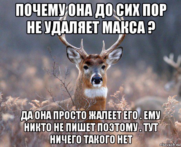 почему она до сих пор не удаляет макса ? да она просто жалеет его . ему никто не пишет поэтому . тут ничего такого нет, Мем   Наивный олень