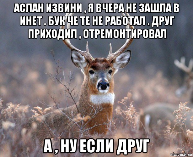 аслан извини , я вчера не зашла в инет . бук че те не работал . друг приходил , отремонтировал а , ну если друг, Мем   Наивный олень