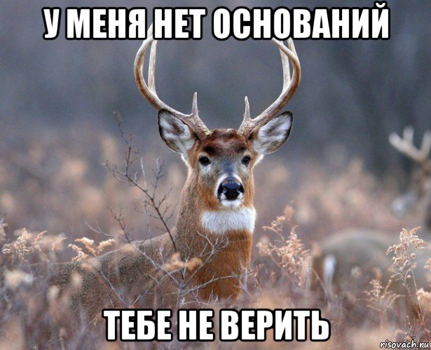 у меня нет оснований тебе не верить, Мем   Наивный олень