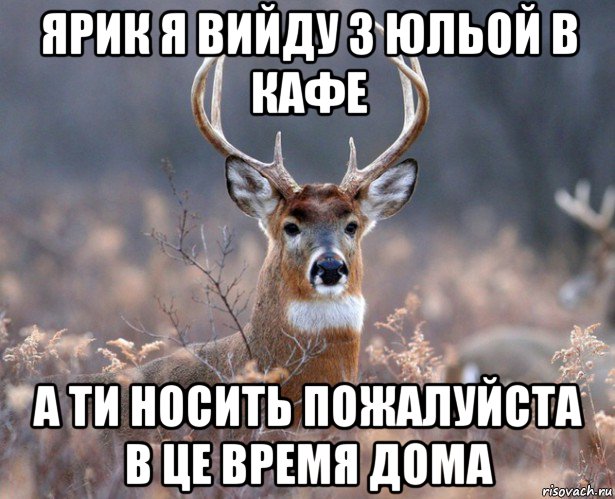 ярик я вийду з юльой в кафе а ти носить пожалуйста в це время дома, Мем   Наивный олень