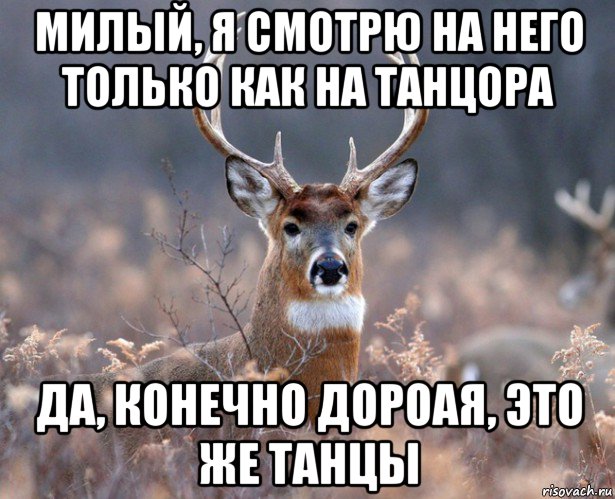 милый, я смотрю на него только как на танцора да, конечно дороая, это же танцы, Мем   Наивный олень