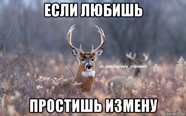 если любишь простишь измену