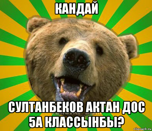 кандай султанбеков актан дос 5а классынбы?, Мем Нелепый медведь