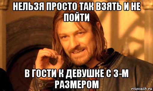 нельзя просто так взять и не пойти в гости к девушке с 3-м размером, Мем Нельзя просто так взять и (Боромир мем)