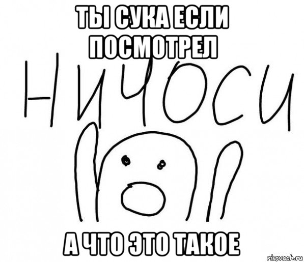 ты сука если посмотрел а что это такое, Мем  Ничоси