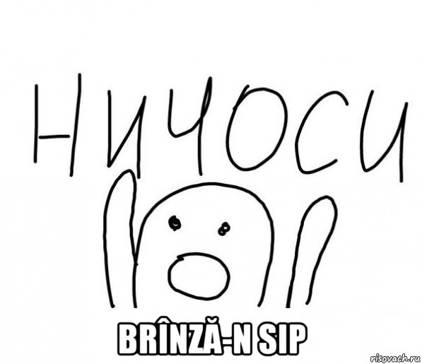  brînză-n sip, Мем  Ничоси