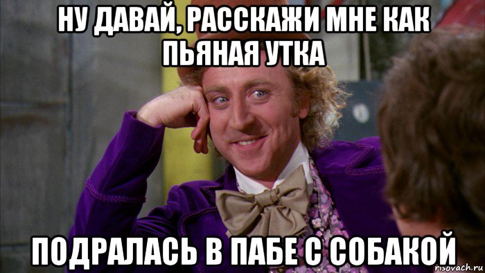 ну давай, расскажи мне как пьяная утка подралась в пабе с собакой, Мем Ну давай расскажи (Вилли Вонка)