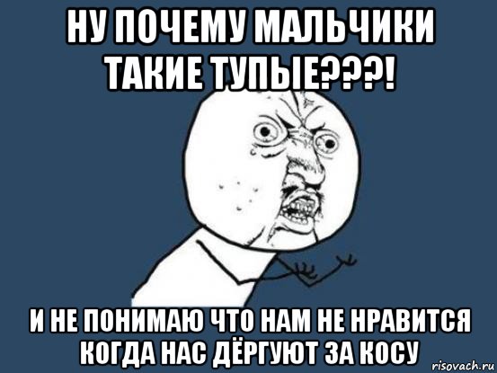 ну почему мальчики такие тупые???! и не понимаю что нам не нравится когда нас дёргуют за косу, Мем Ну почему