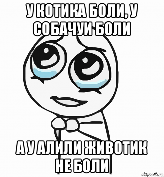 у котика боли, у собачуи боли а у алили животик не боли, Мем  ну пожалуйста (please)