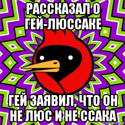 рассказал о гей-люссаке гей заявил, что он не люс и не ссака, Мем Омская птица