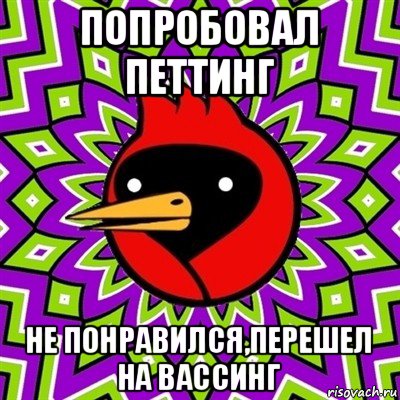 попробовал петтинг не понравился,перешел на вассинг, Мем Омская птица