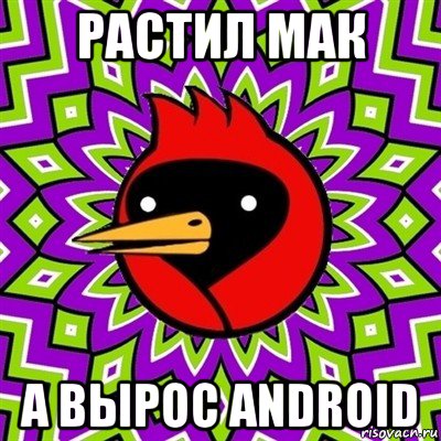 растил мак а вырос android, Мем Омская птица