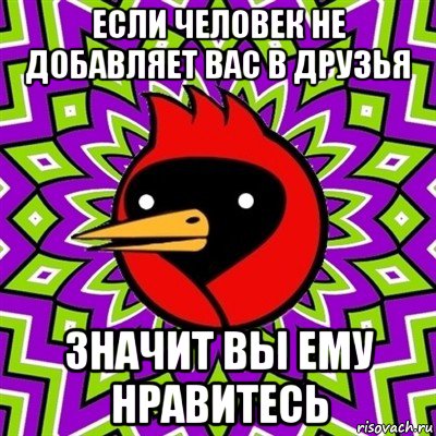 если человек не добавляет вас в друзья значит вы ему нравитесь, Мем Омская птица