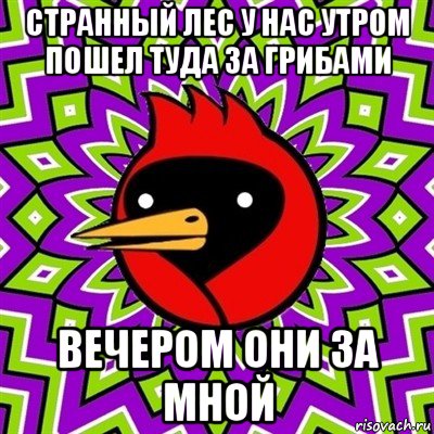 странный лес у нас утром пошел туда за грибами вечером они за мной, Мем Омская птица