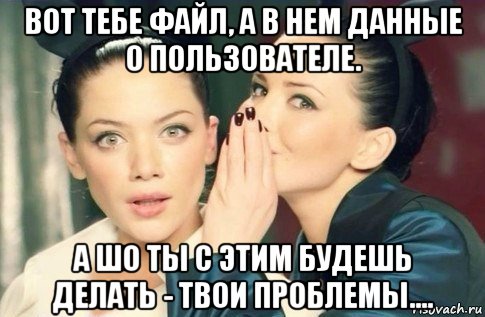 вот тебе файл, а в нем данные о пользователе. а шо ты с этим будешь делать - твои проблемы...., Мем  Он