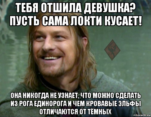 тебя отшила девушка? пусть сама локти кусает! она никогда не узнает, что можно сделать из рога единорога и чем кровавые эльфы отличаются от тёмных, Мем ОР Тролль Боромир