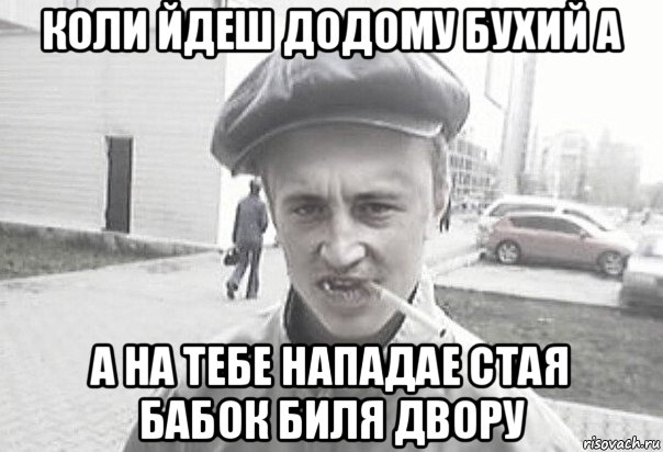 коли йдеш додому бухий а а на тебе нападае стая бабок биля двору, Мем Пацанська философия