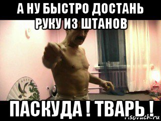 а ну быстро достань руку из штанов паскуда ! тварь !, Мем Паскуда тварь