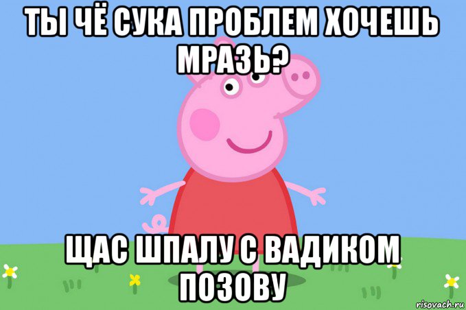 ты чё сука проблем хочешь мразь? щас шпалу с вадиком позову, Мем Пеппа