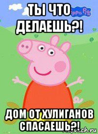 ты что делаешь?! дом от хулиганов спасаешь?!, Мем  Peppa