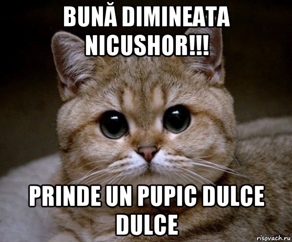 bună dimineata nicushor!!! prinde un pupic dulce dulce, Мем Пидрила Ебаная