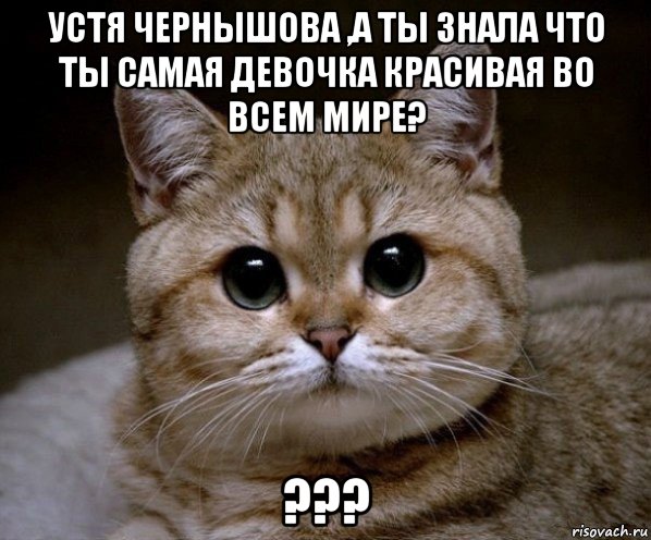 устя чернышова ,а ты знала что ты самая девочка красивая во всем мире? ???, Мем Пидрила Ебаная