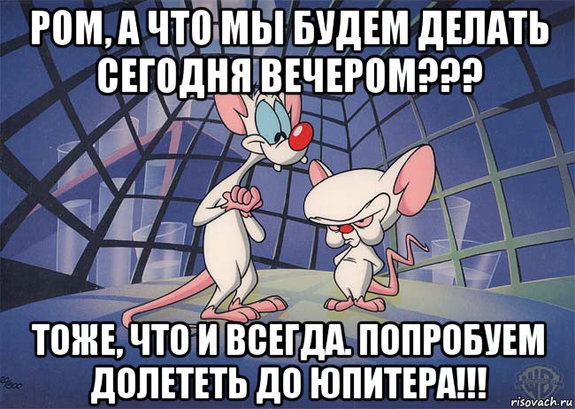 ром, а что мы будем делать сегодня вечером??? тоже, что и всегда. попробуем долететь до юпитера!!!