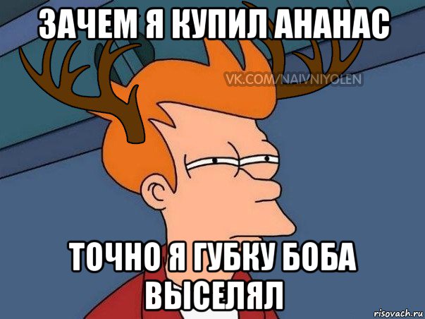 зачем я купил ананас точно я губку боба выселял, Мем  Подозрительный олень