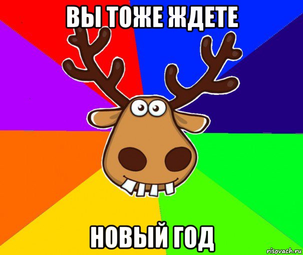 вы тоже ждете новый год