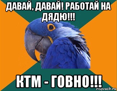 давай, давай! работай на дядю!!! ктм - говно!!!, Мем Попугай параноик