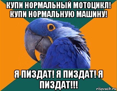 купи нормальный мотоцикл! купи нормальную машину! я пиздат! я пиздат! я пиздат!!!, Мем Попугай параноик