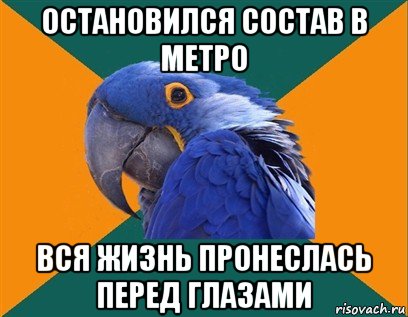 остановился состав в метро вся жизнь пронеслась перед глазами, Мем Попугай параноик