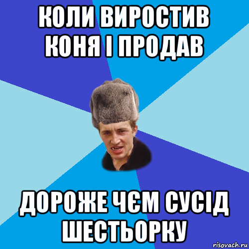 коли виростив коня і продав дороже чєм сусід шестьорку, Мем Празднчний паца