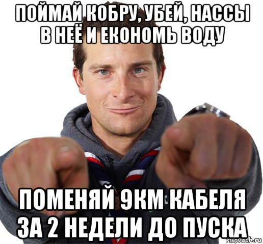 поймай кобру, убей, нассы в неё и економь воду поменяй 9км кабеля за 2 недели до пуска, Мем прикол