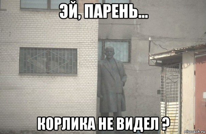  корлика не видел ?, Мем псс парень