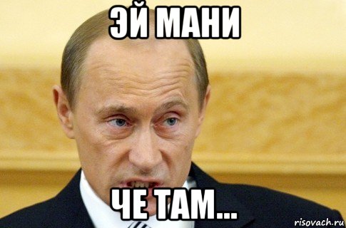 эй мани че там..., Мем путин