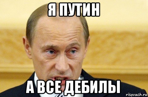 я путин а все дебилы, Мем путин