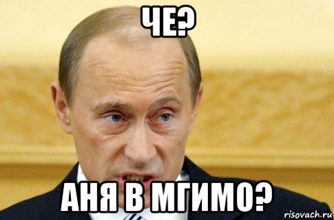 че? аня в мгимо?, Мем путин