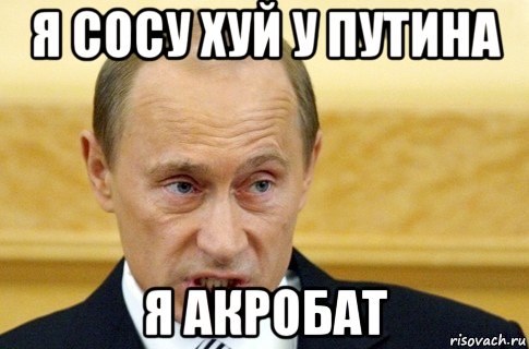 я сосу хуй у путина я акробат, Мем путин