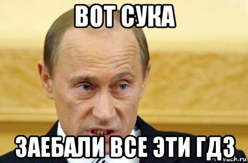 вот сука заебали все эти гдз, Мем путин