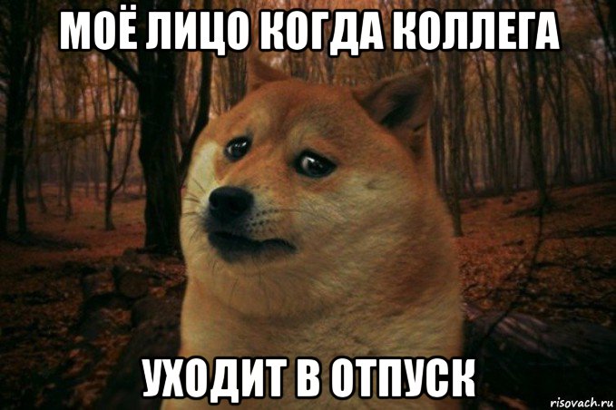 моё лицо когда коллега уходит в отпуск, Мем SAD DOGE