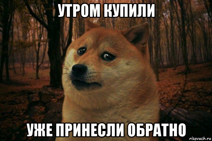 утром купили уже принесли обратно, Мем SAD DOGE