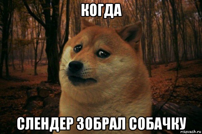 когда слендер зобрал собачку, Мем SAD DOGE