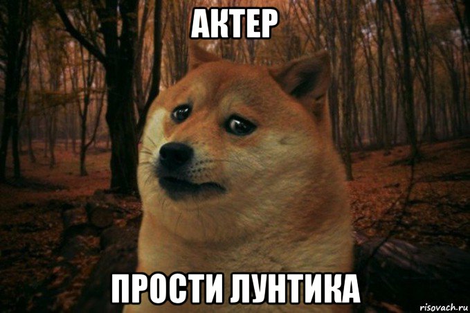 актер прости лунтика, Мем SAD DOGE